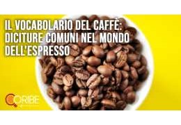 Amabile 40% Arabica 60% Robusta – Capsule compatibili Dolce Gusto® 150 pz –  Caffè Boasi – Wenat